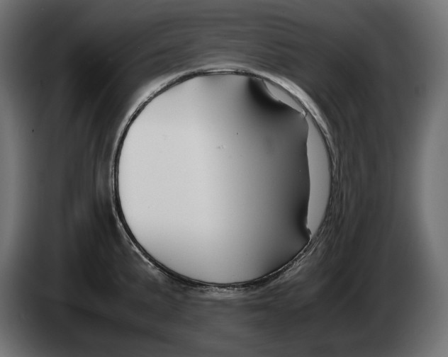 X0000082951191200703020142