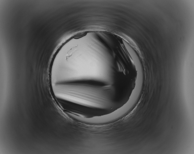 X0000082951192200703020142