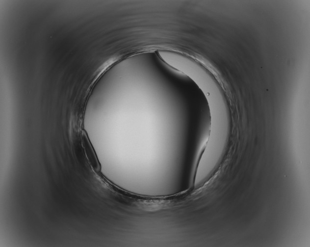 X0000082951193200703020142