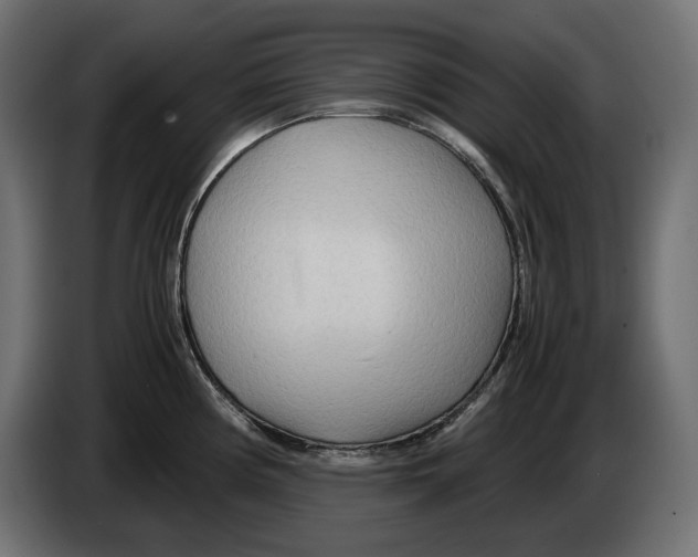 X0000082951194200703020142