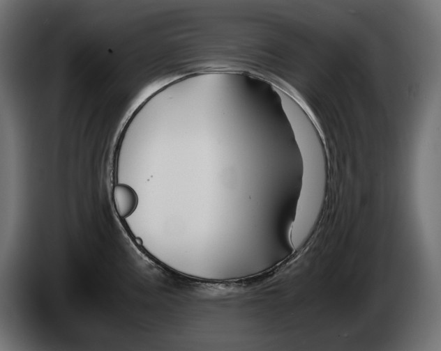 X0000082951195200703020142