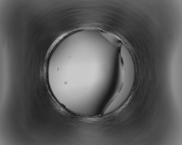 X0000082951196200703020142