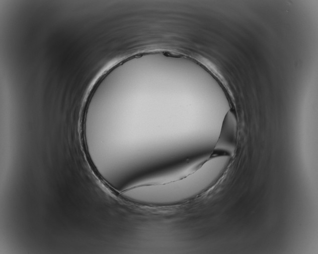 X0000082951197200703020142