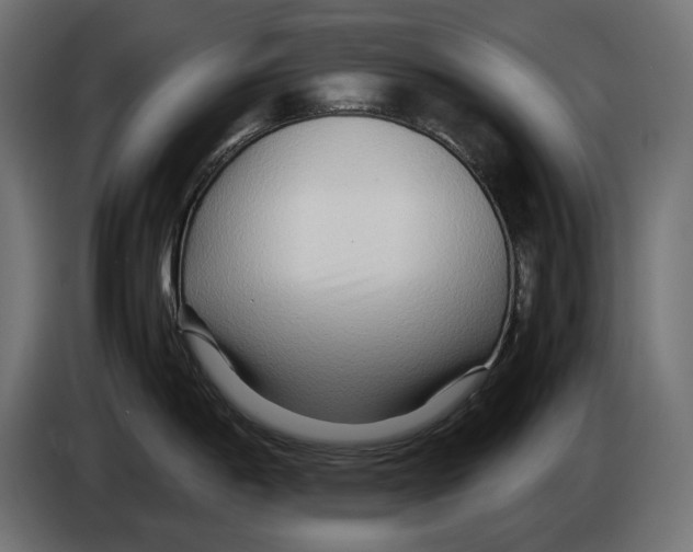 X0000082951198200703020142