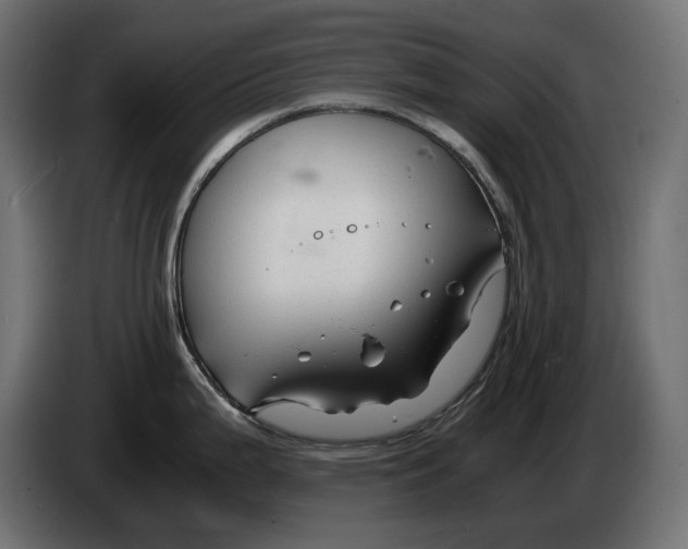 X0000082951199200703020142