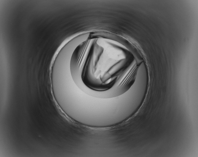 X0000082951200200703020142