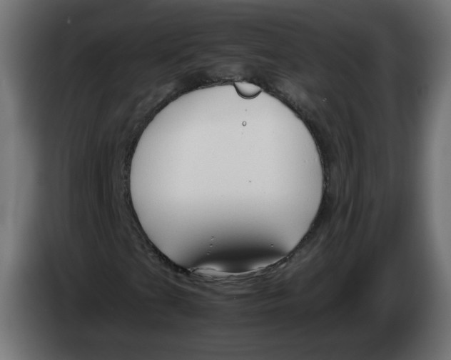 X0000082951201200703020142