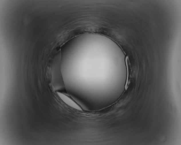 X0000082951202200703020142