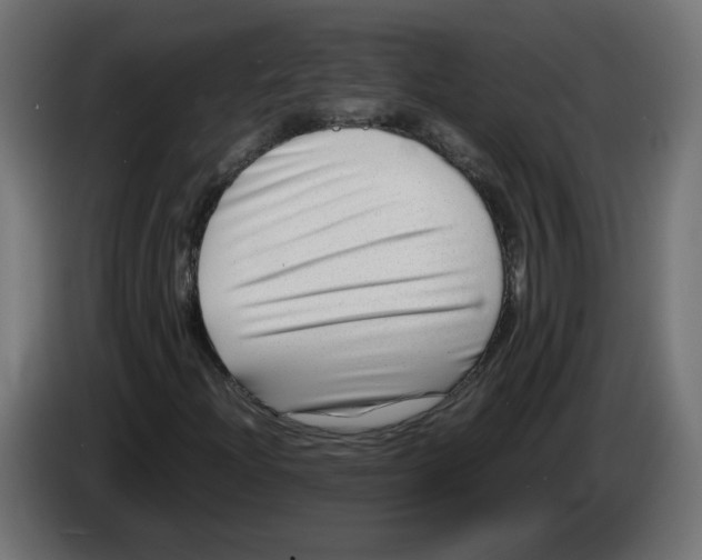 X0000082951204200703020142