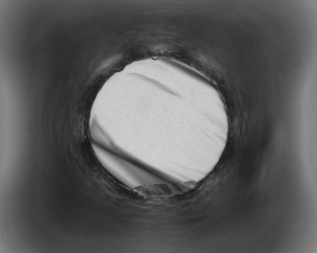 X0000082951205200703020142