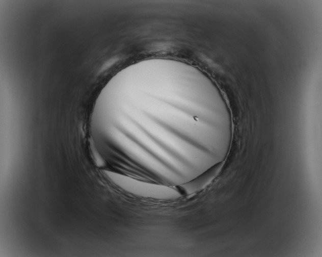 X0000082951206200703020142