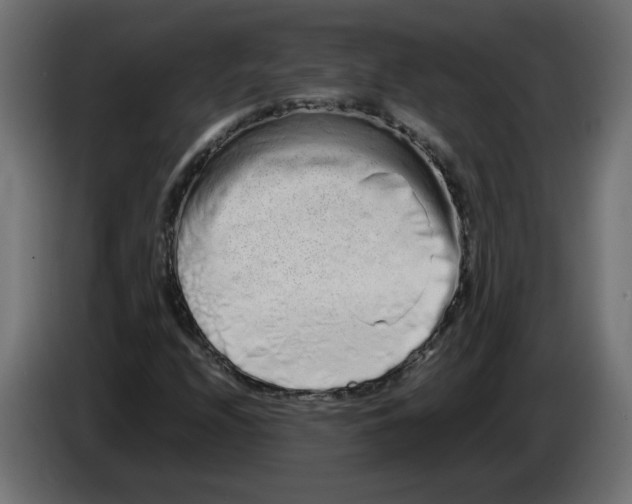 X0000082951208200703020142