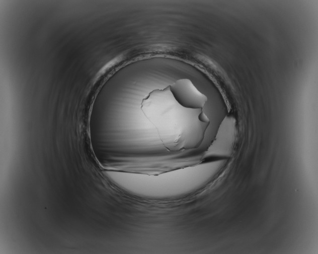 X0000082951210200703020142