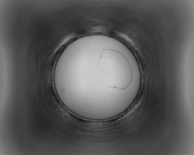 X0000082951211200703020142