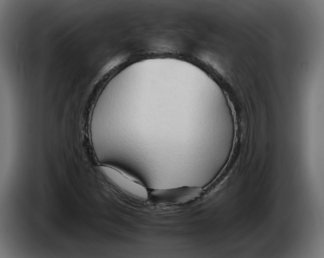 X0000082951213200703020142