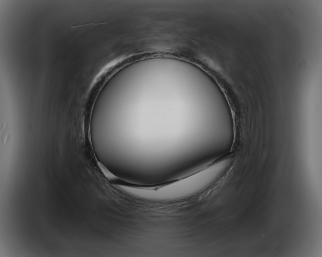 X0000082951214200703020142