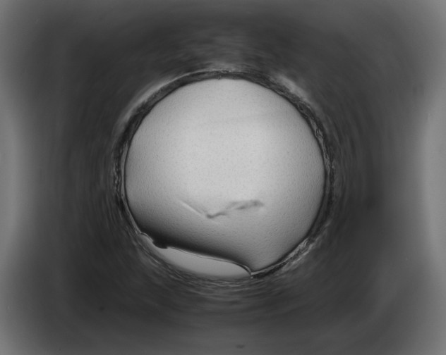 X0000082951215200703020142