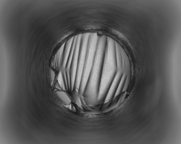 X0000082951217200703020142