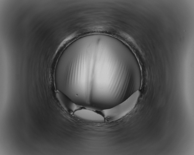 X0000082951218200703020142