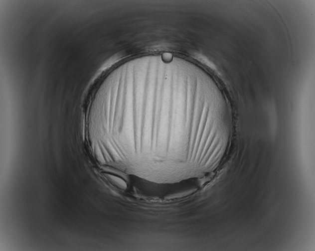 X0000082951219200703020142