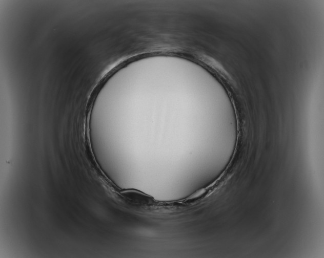 X0000082951220200703020142