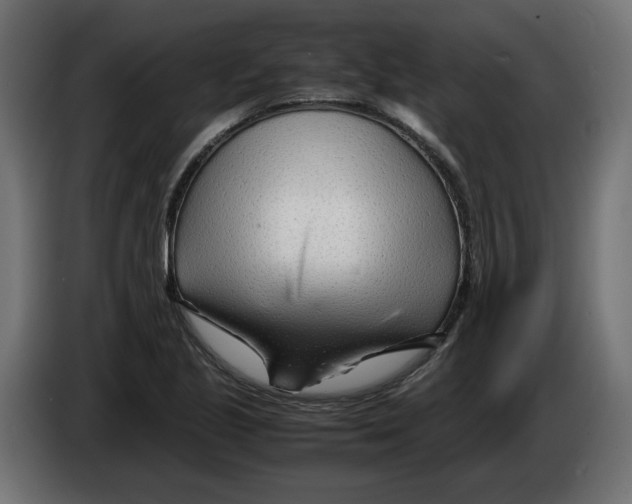 X0000082951221200703020142