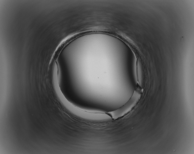 X0000082951222200703020142