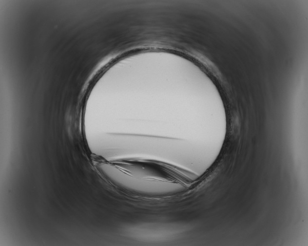 X0000082951224200703020142