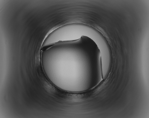 X0000082951226200703020142