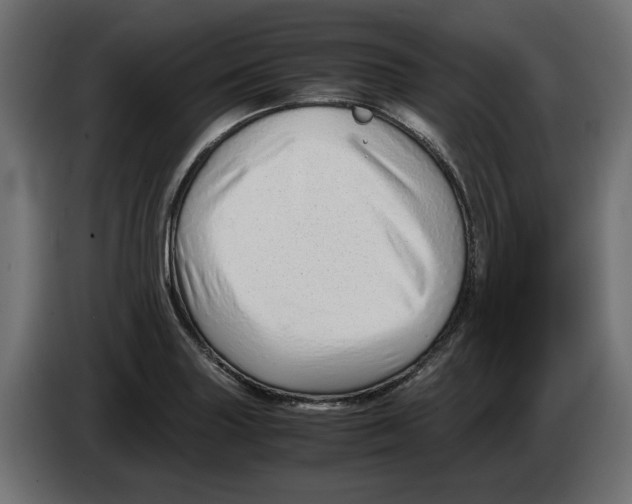 X0000082951227200703020142