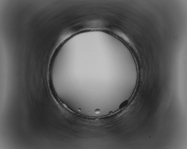 X0000082951229200703020142