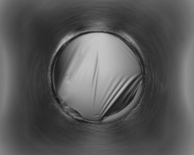 X0000082951230200703020142