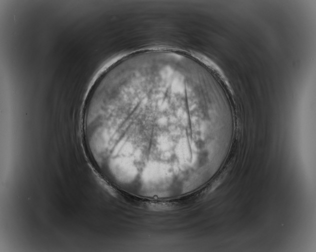 X0000082951231200703020142