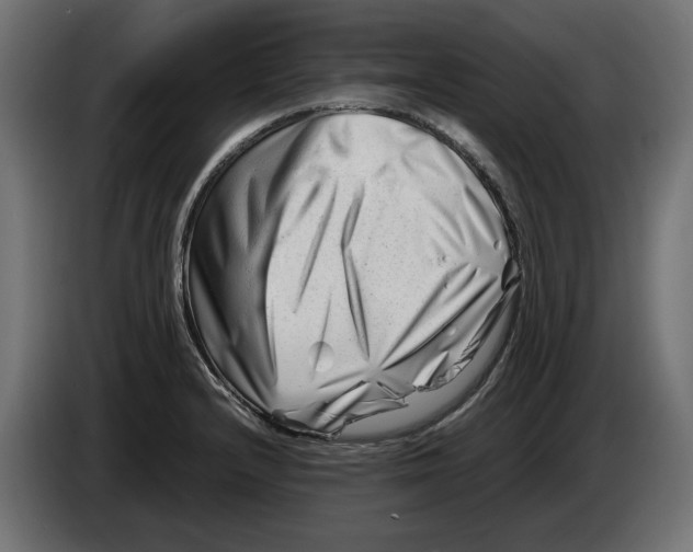 X0000082951232200703020142