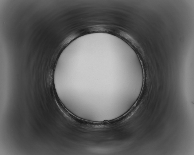 X0000082951233200703020142