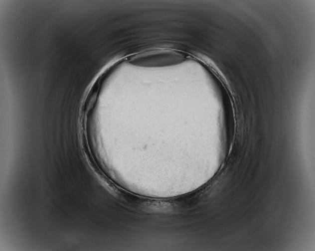 X0000082951235200703020142