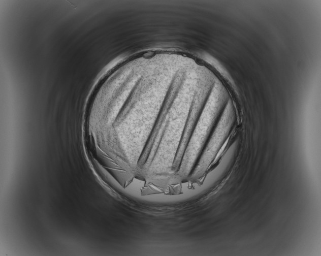 X0000082951237200703020142