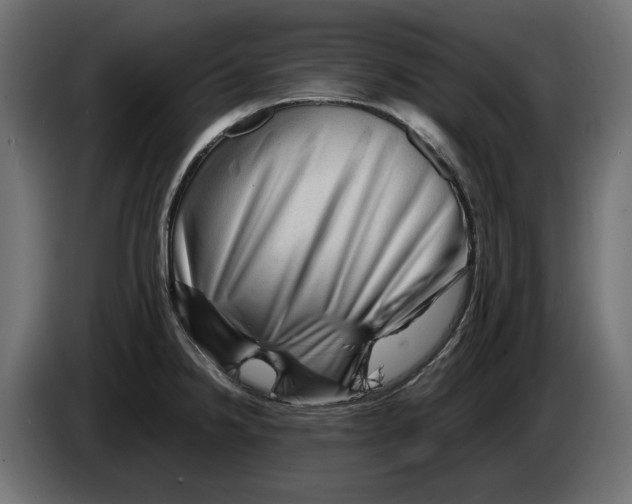 X0000082951238200703020142