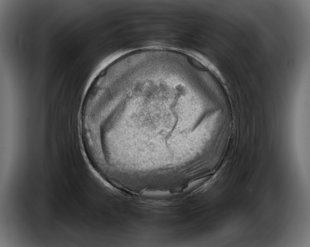 X0000082951239200703020142