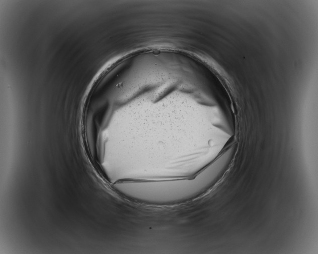 X0000082951240200703020142