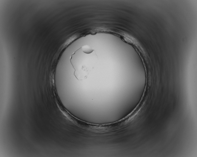 X0000082951241200703020142