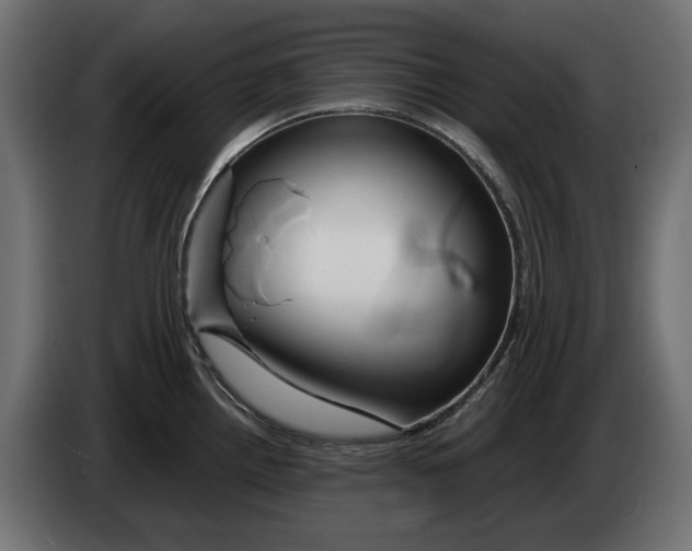 X0000082951242200703020142