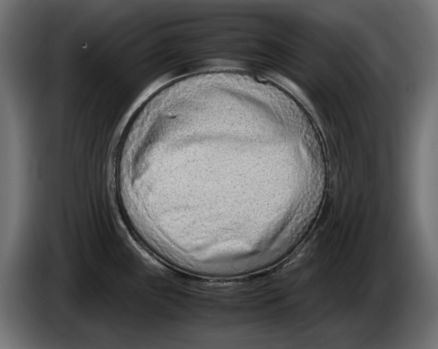 X0000082951243200703020142