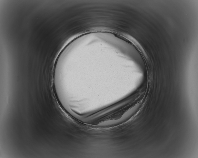 X0000082951244200703020142