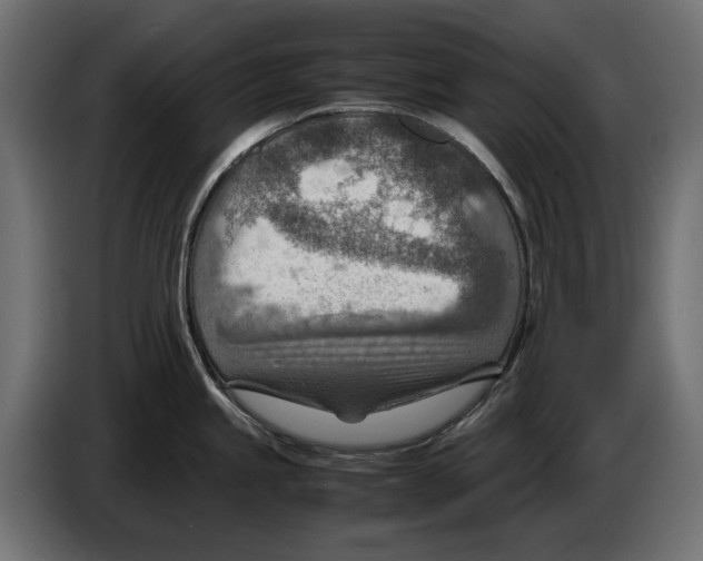 X0000082951245200703020142