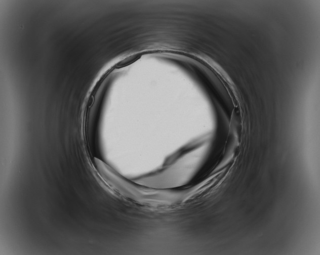 X0000082951246200703020142