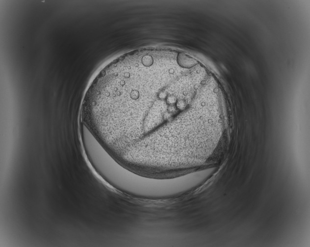 X0000082951247200703020142