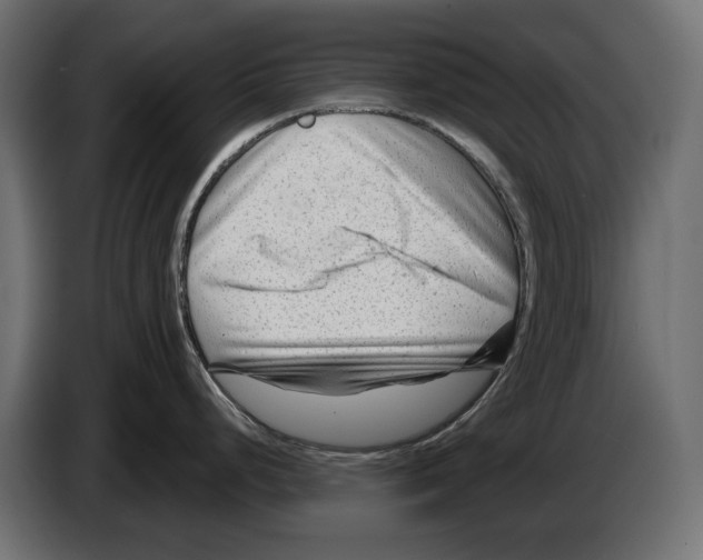 X0000082951248200703020142