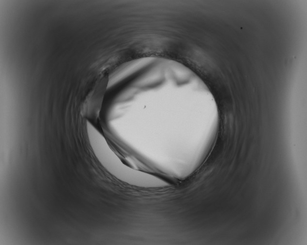 X0000082951250200703020142