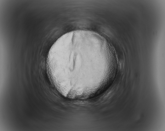 X0000082951251200703020142